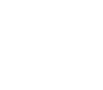 ICON1