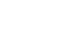 ICON2